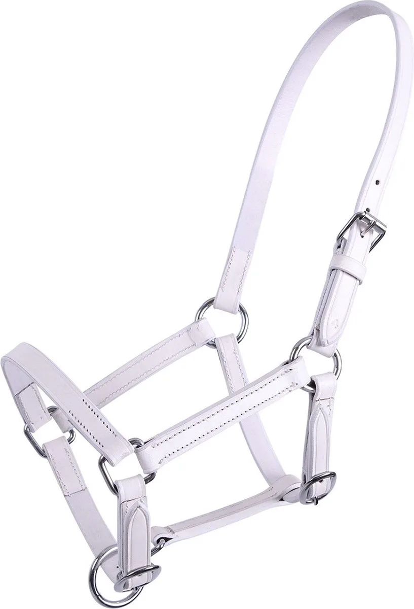 Veulenhalster Chico Leer - Wit - paard Veulen van QHP in Wit – productfoto