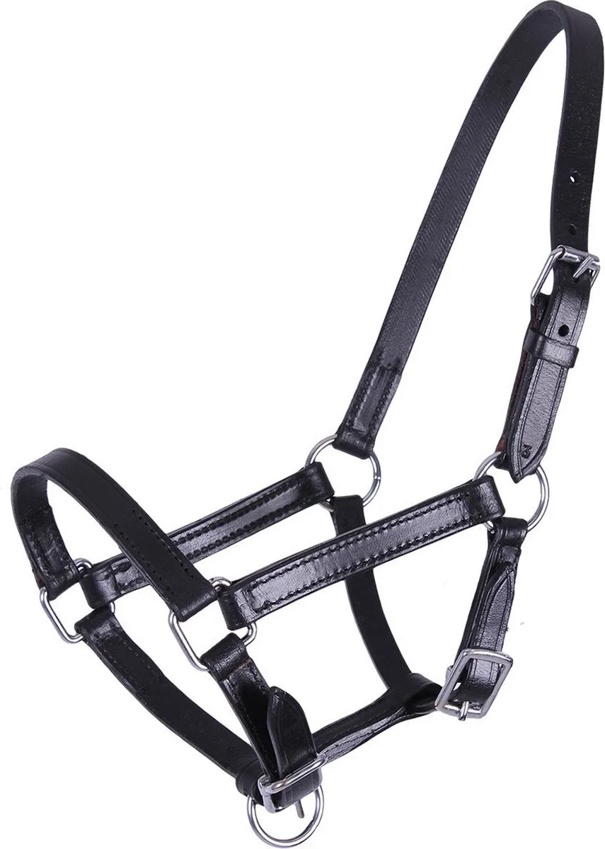 Veulenhalster Chico Leer - Zwart - paard Veulen de QHP en Noir – photo produit