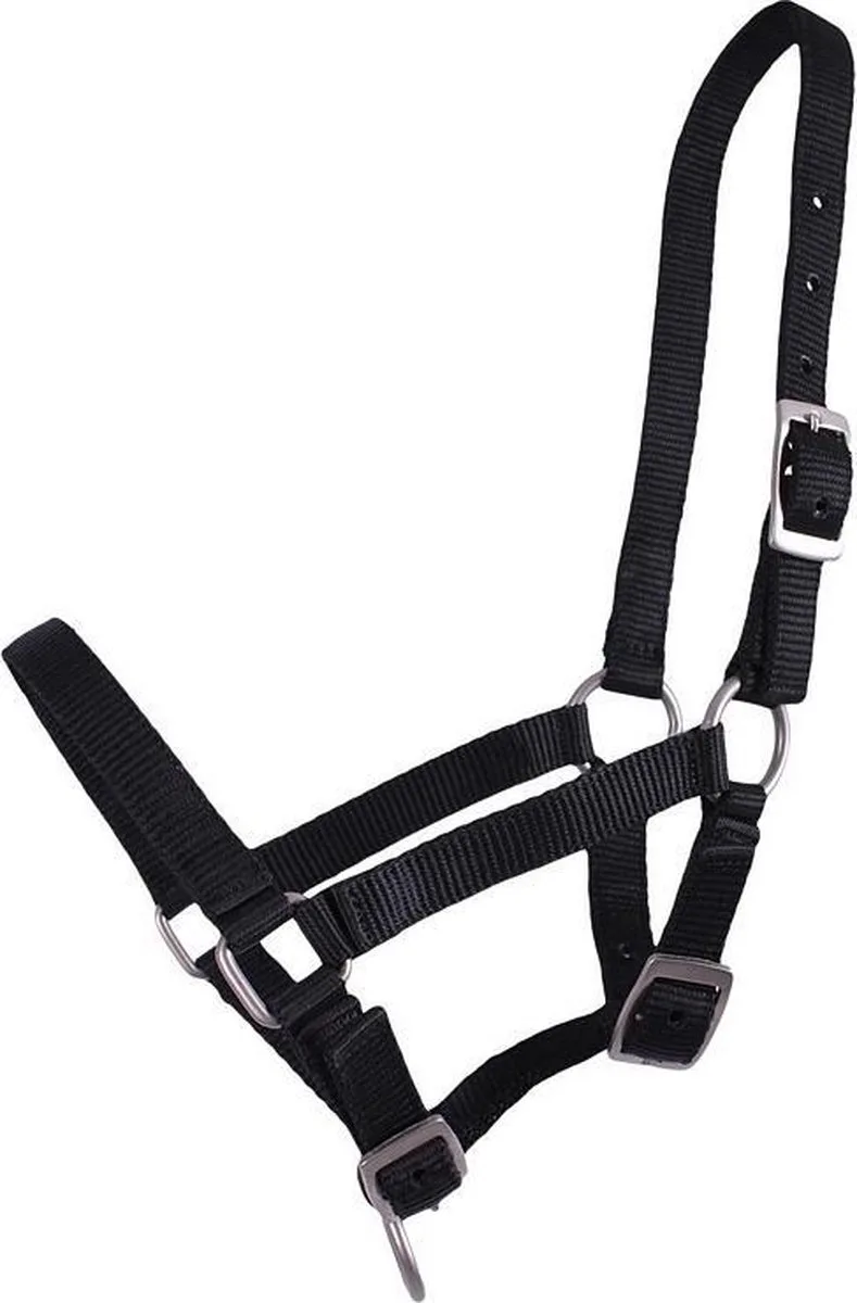 Veulenhalster de QHP en Bleu foncé – photo produit