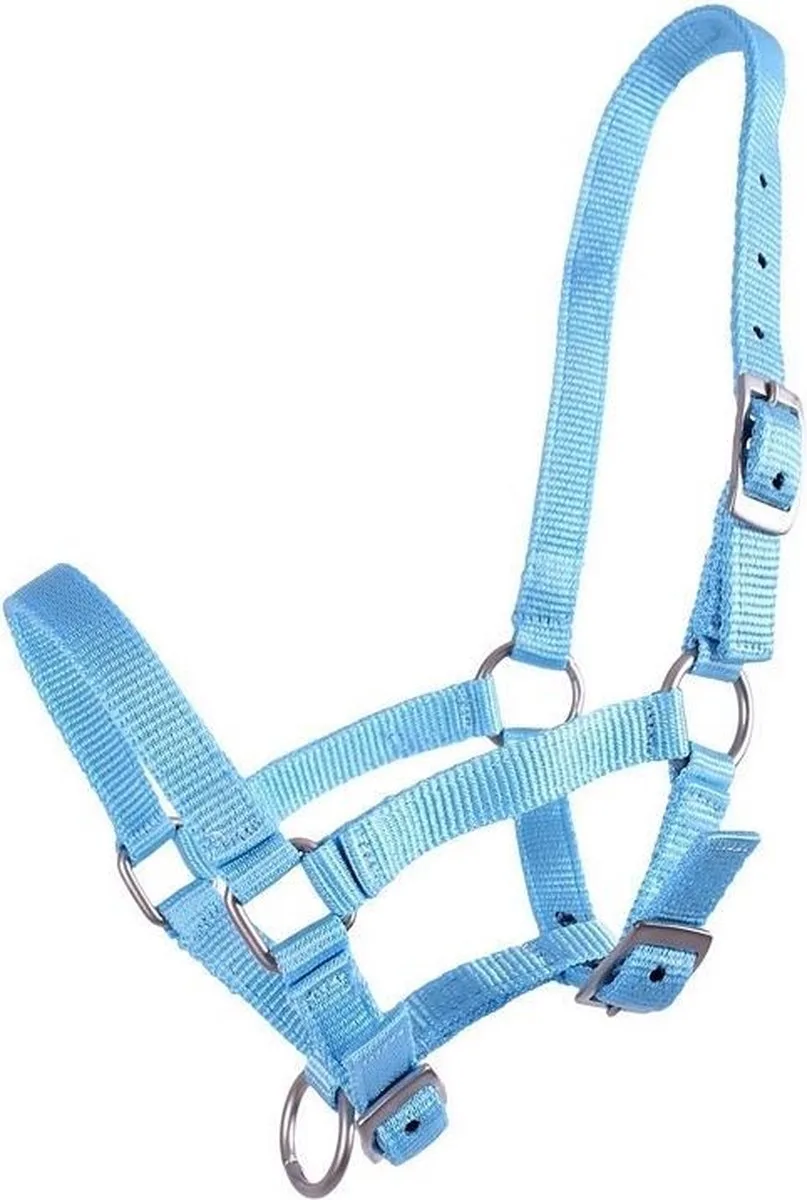 Veulenhalster de QHP en Bleu clair – photo produit