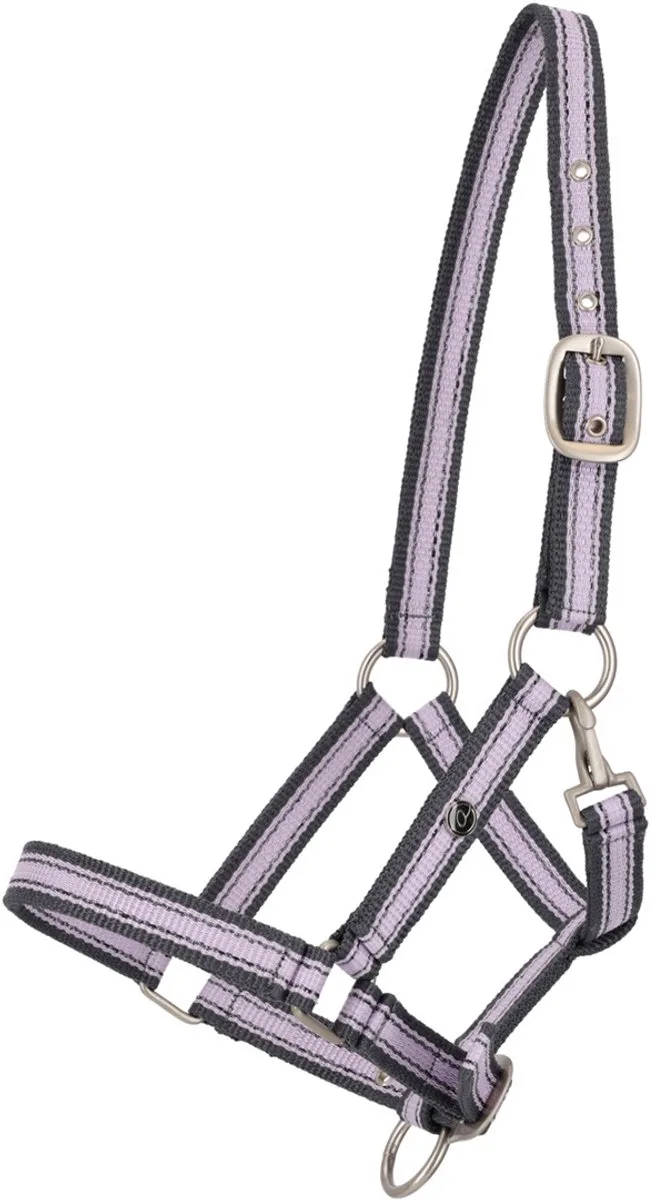 Veulenhalster Qhp Collection Lichtpaars de QHP en Violet – photo produit