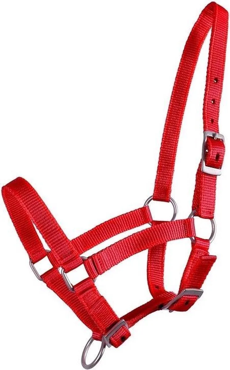 Veulenhalster de QHP en Rouge – photo produit