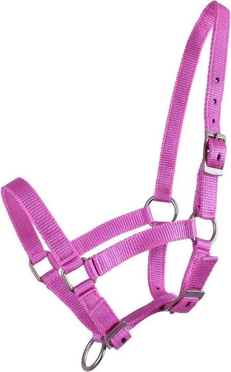 Veulenhalster de QHP en Rose – photo produit