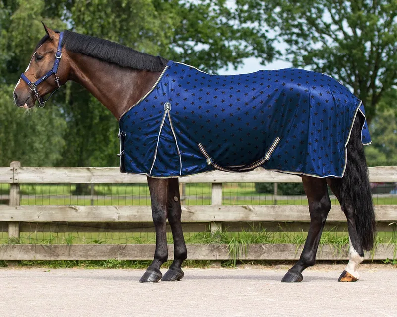 Vliegendeken collection - maat 165/215 by QHP in Stardust – product photo