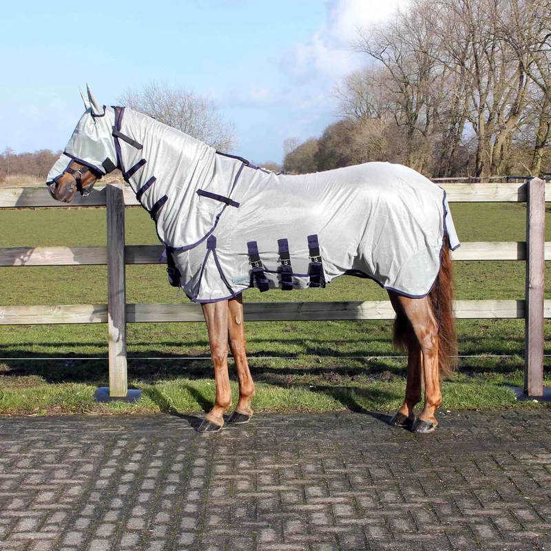 Vliegendeken Met Hals En Masker - 125/165 by QHP in Dark grey – product photo
