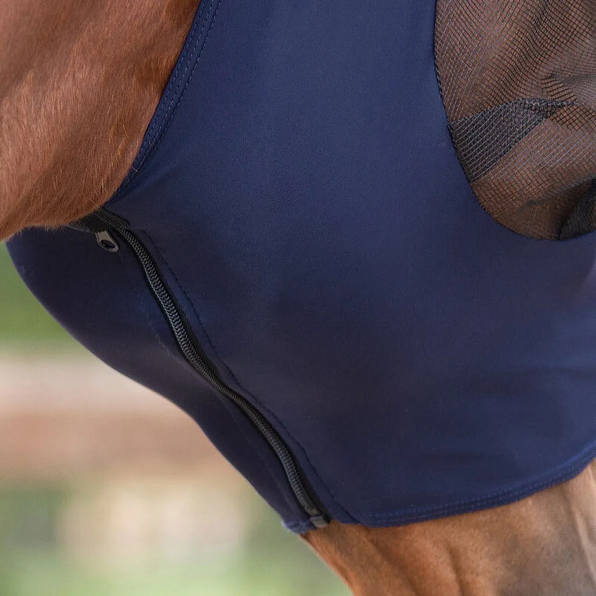 Vliegenkap Super bug - Navy - Maat Full van QHP – productfoto