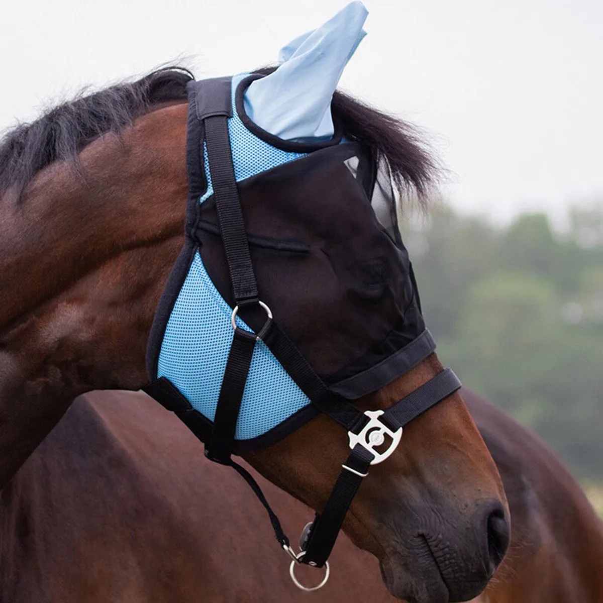 Vliegenmasker Met Afneembare Neusflap Lichtblauw - Lichtblauw - middel de QHP – photo produit