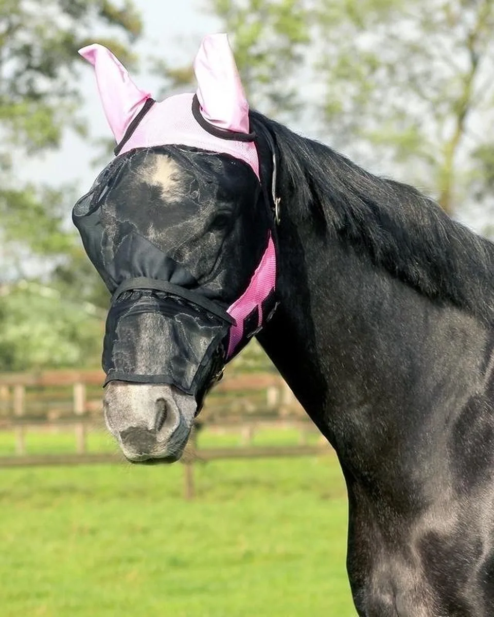 Vliegenmasker Met Afneembare Neusflap Roze - Shetlander de QHP – photo produit
