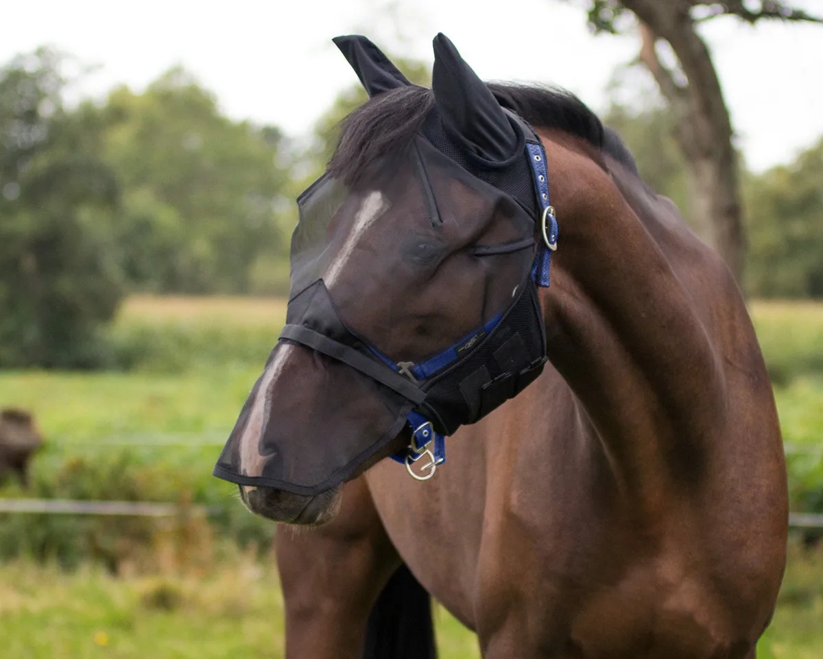 Vliegenmasker Met Afneembare Neusflap Zwart - Zwart - paard de QHP – photo produit