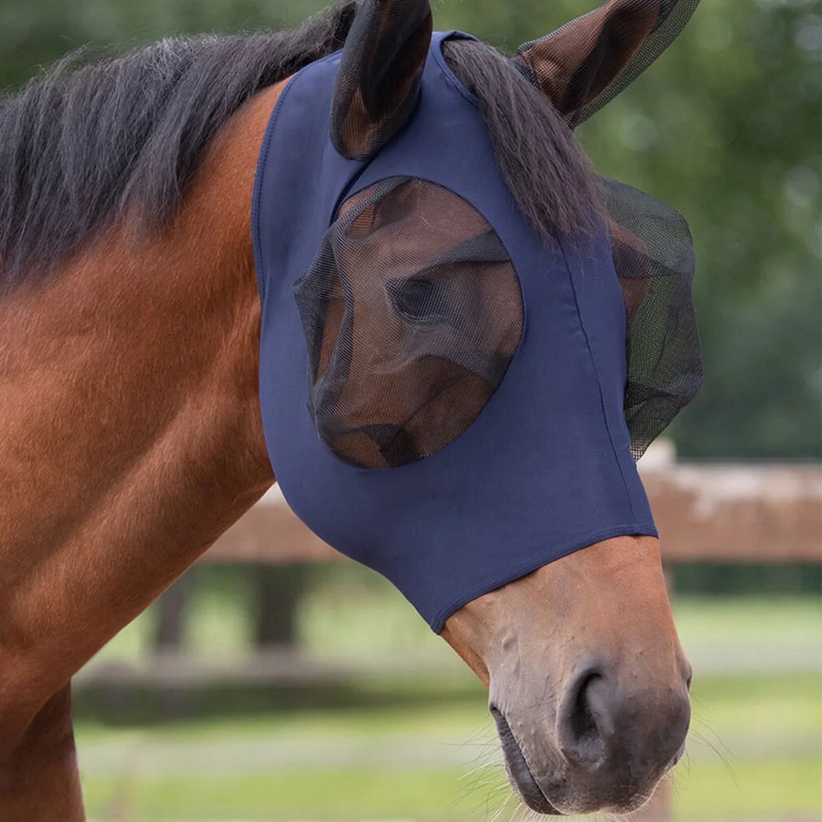 Vliegenmasker Super Bug Navy - Mini Shetlanderlander van QHP – productfoto