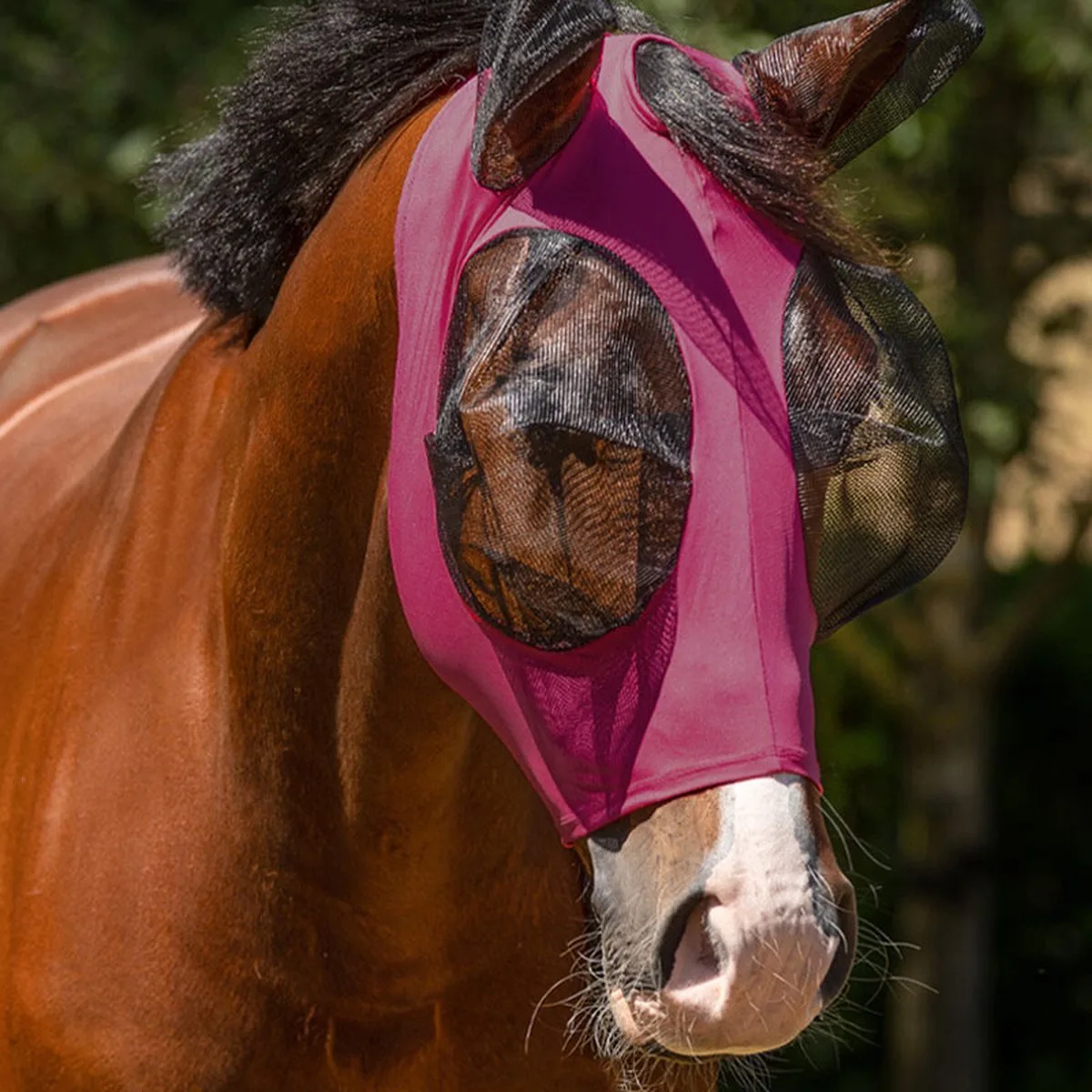 Vliegenmasker Super Bug Roze - Shetlander van QHP – productfoto