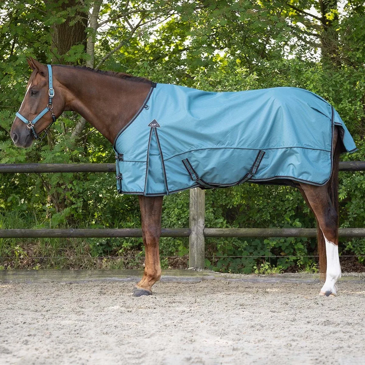 Waterdichte dekens collectie voor paarden QHP 0 g de QHP en Bleu – photo produit