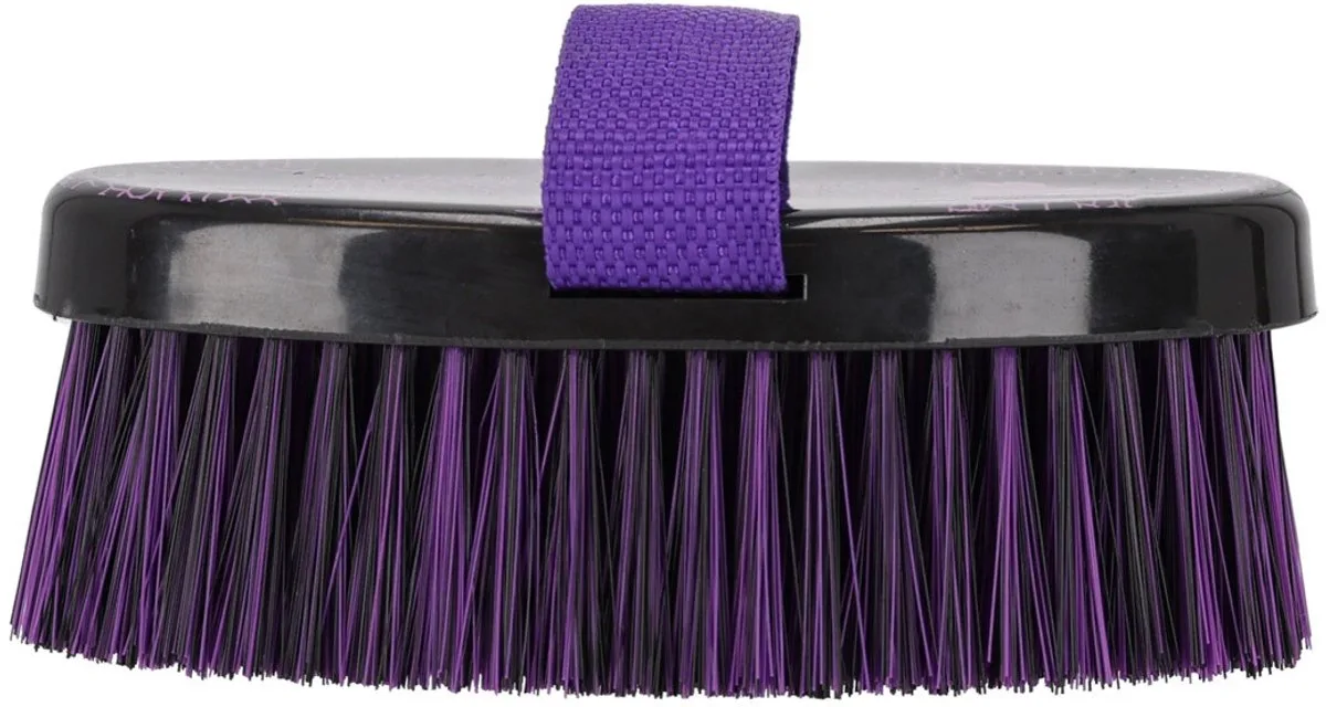 Zachte borstel Lize - Zwart / Violet fra QHP i Sort, Lilla – produktbillede