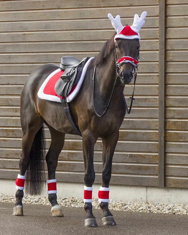 Zadeldek Qhp Kerst Dressuur de QHP en Rouge – photo produit