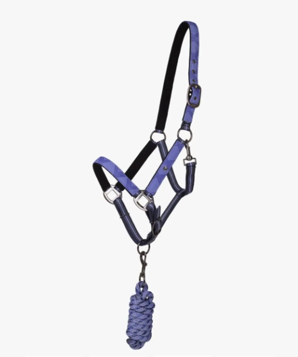 Zadelhalter met Lijn SUNSET COB by QHP in Purple – product photo