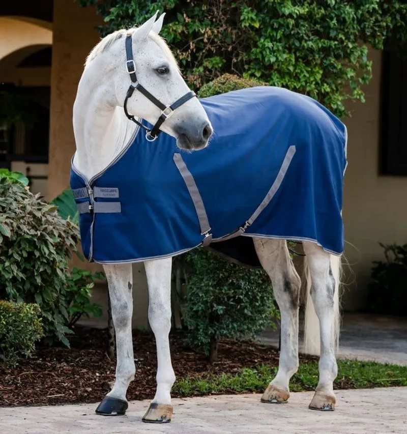 Stable Sheet 0 gr Navy/Grey &Silver - 6.9 - Regendeken | Staldekens paard von Rambo in Silber – Produktfoto