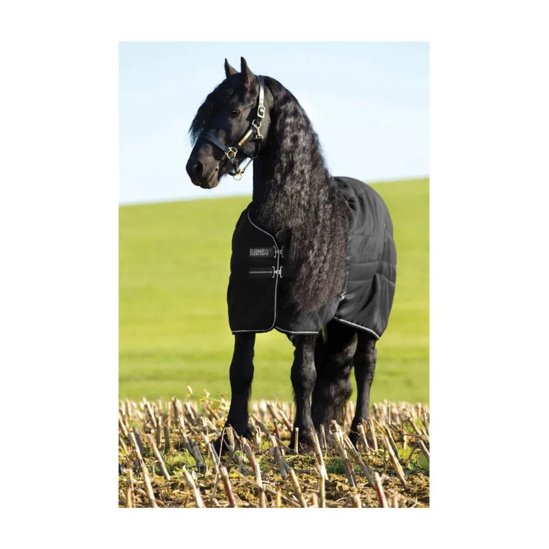 Stalldecke Stable 100 g 1,45 m de Rambo en Regular – photo produit