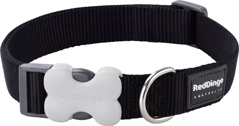 Animal Boulevard Dc-zz-bb-15 - Hals- En Leibanden - Hond - Rd Halsband Zwart-s 15mmx24-36cm - Maat: S by Red Dingo in Black – product photo