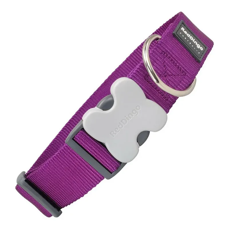Dog Hondenhalsband by Red Dingo – product photo