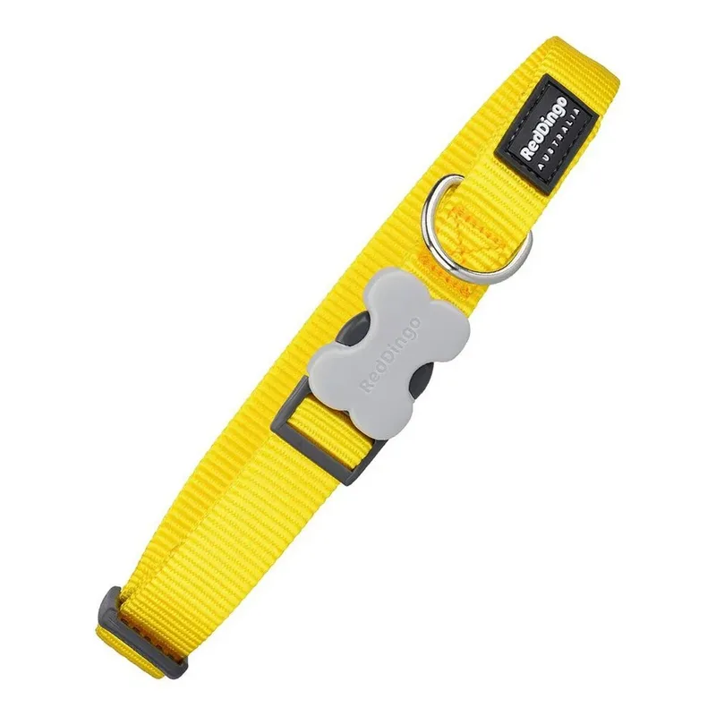 Dog Hondenhalsband van Red Dingo – productfoto