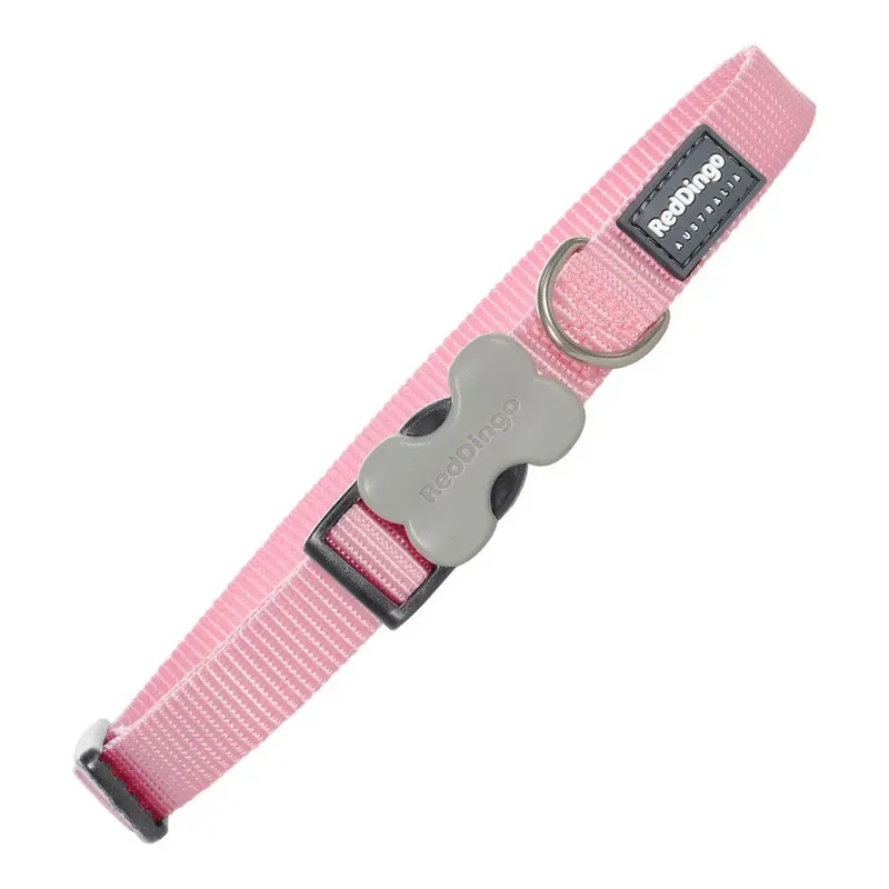 Dog Hondenhalsband de Red Dingo – photo produit