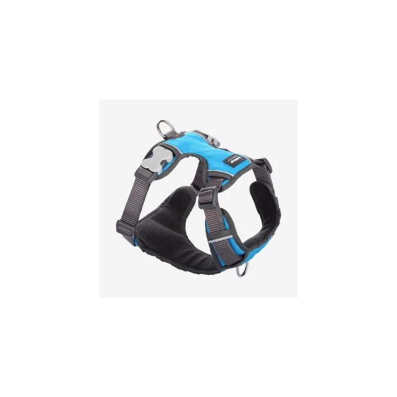 Geschirr Gepolstert XL de Red Dingo en Turquoise, Regular – photo produit