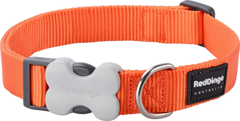 Halsband Hond 12mm x 20-32cm DC-ZZ-OR-12 de Red Dingo en Orange – photo produit
