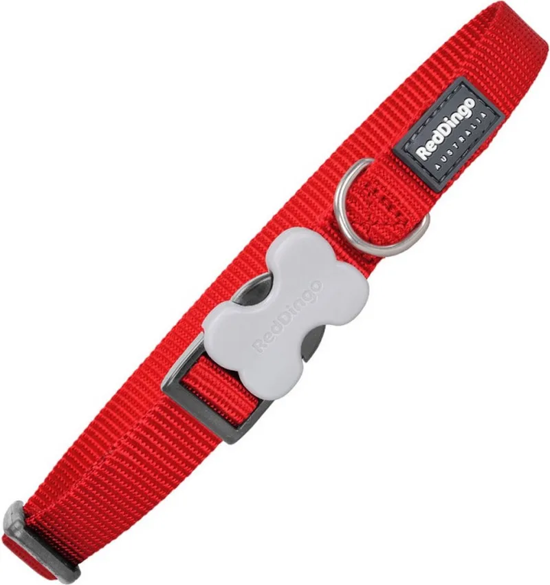 Halsband Hond 12mm x 20-32cm DC-ZZ-RE-12 von Red Dingo in Rot – Produktfoto