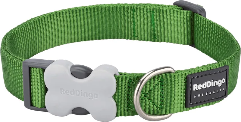 Halsband Hond 25mm x 41-64cm DC-ZZ-GR-25 by Red Dingo in Green – product photo
