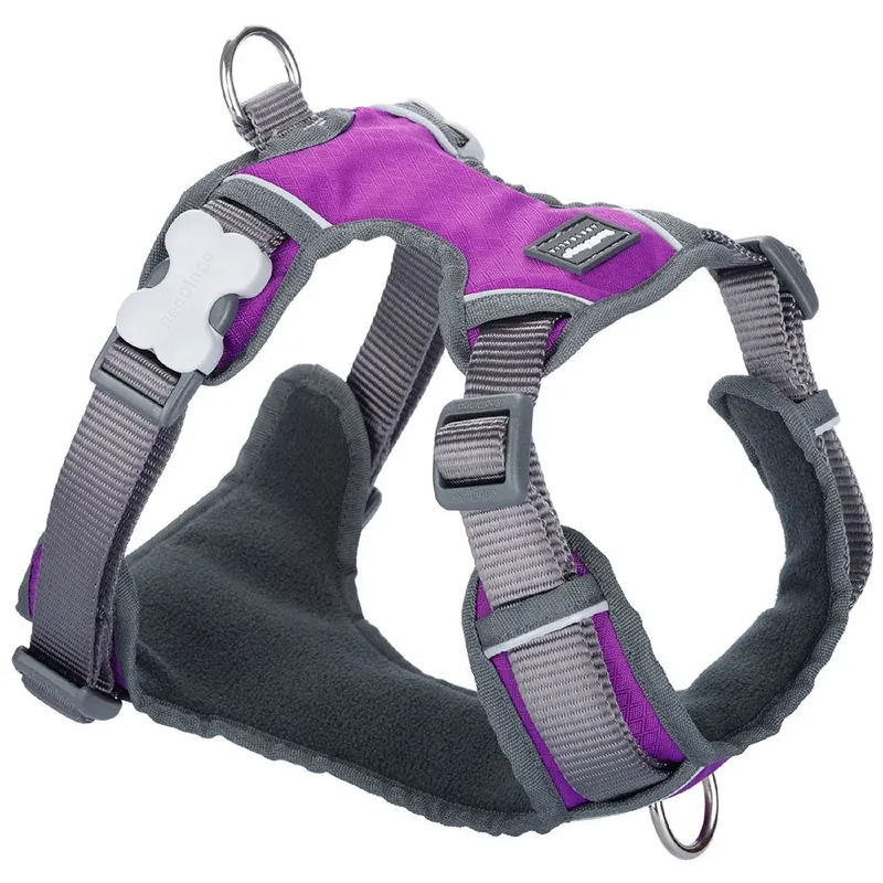 Harnais Pour Chien Padded by Red Dingo – product photo