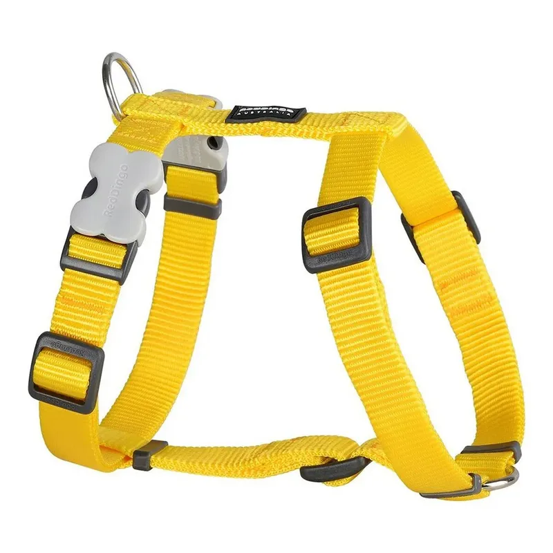 Harnais Pour Chien Smooth de Red Dingo – photo produit