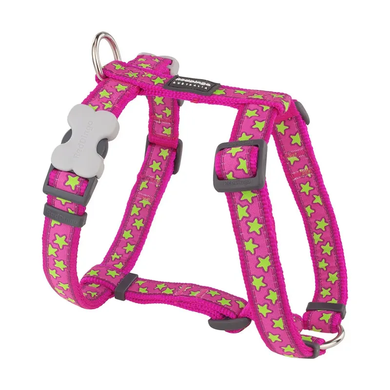 Harnais Pour Chien Stars Lime On Hot by Red Dingo – product photo