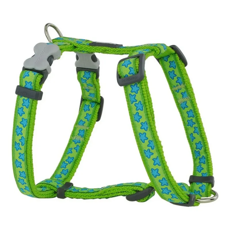 Harnais Pour Chien Style Star by Red Dingo – product photo