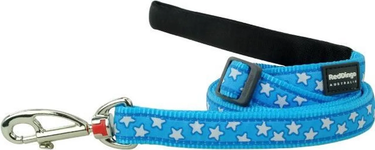 Hondenlijn 20mm 110-180cm L6-ST-TQ-20 de Red Dingo en Turquoise – photo produit