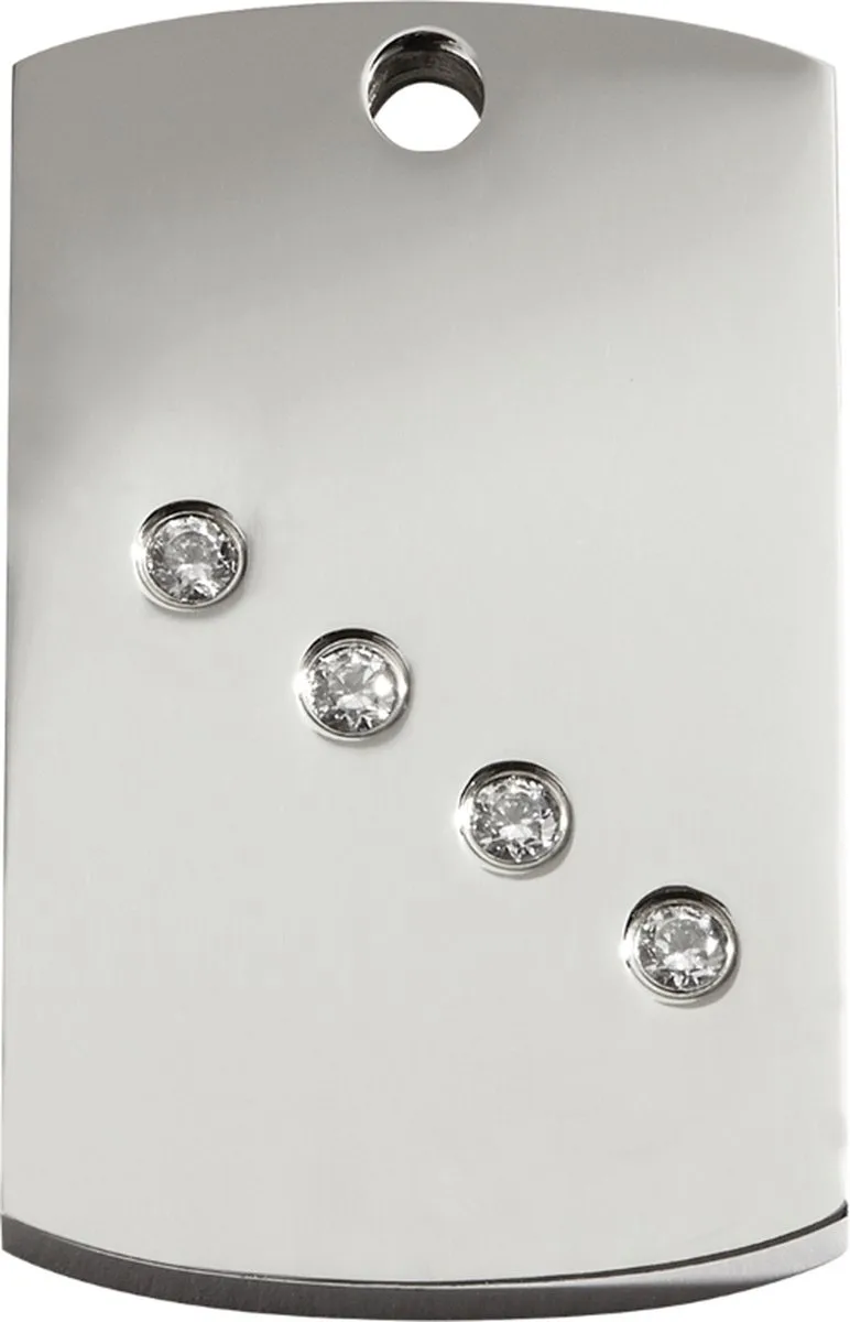 hondenpenning- maat M - rechthoek met Swarovski - 2,2 cm x 3,6 cm fra Red Dingo i RVS rechthoek met Swarovski – produktbillede