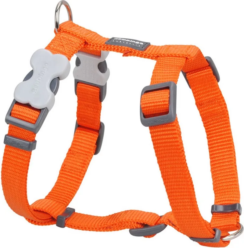 Hondentuig 15mm Neck 30-48cm Body 36-54cm DH-ZZ-OR-15 by Red Dingo in Orange – product photo