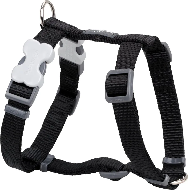 Hondentuig XL 25mm Neck 62-109cm Body 71-113cm DH-ZZ-BB-XL by Red Dingo in Black – product photo