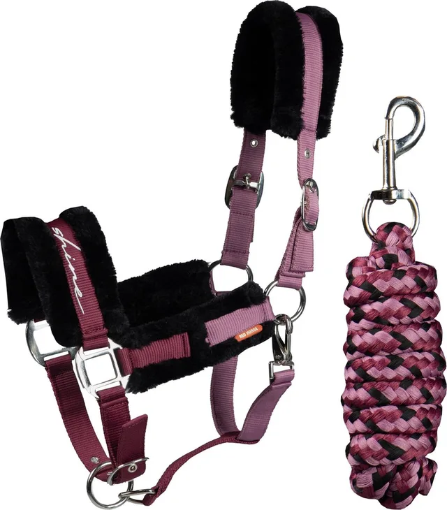 Halster Set - Ride & Shine - Mini