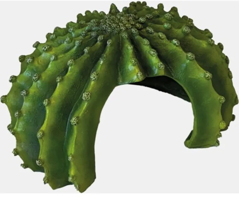 Deco Cactus XL schuilplaats 24 x 19 x 12 cm voor terrarium fra Repto – produktbillede