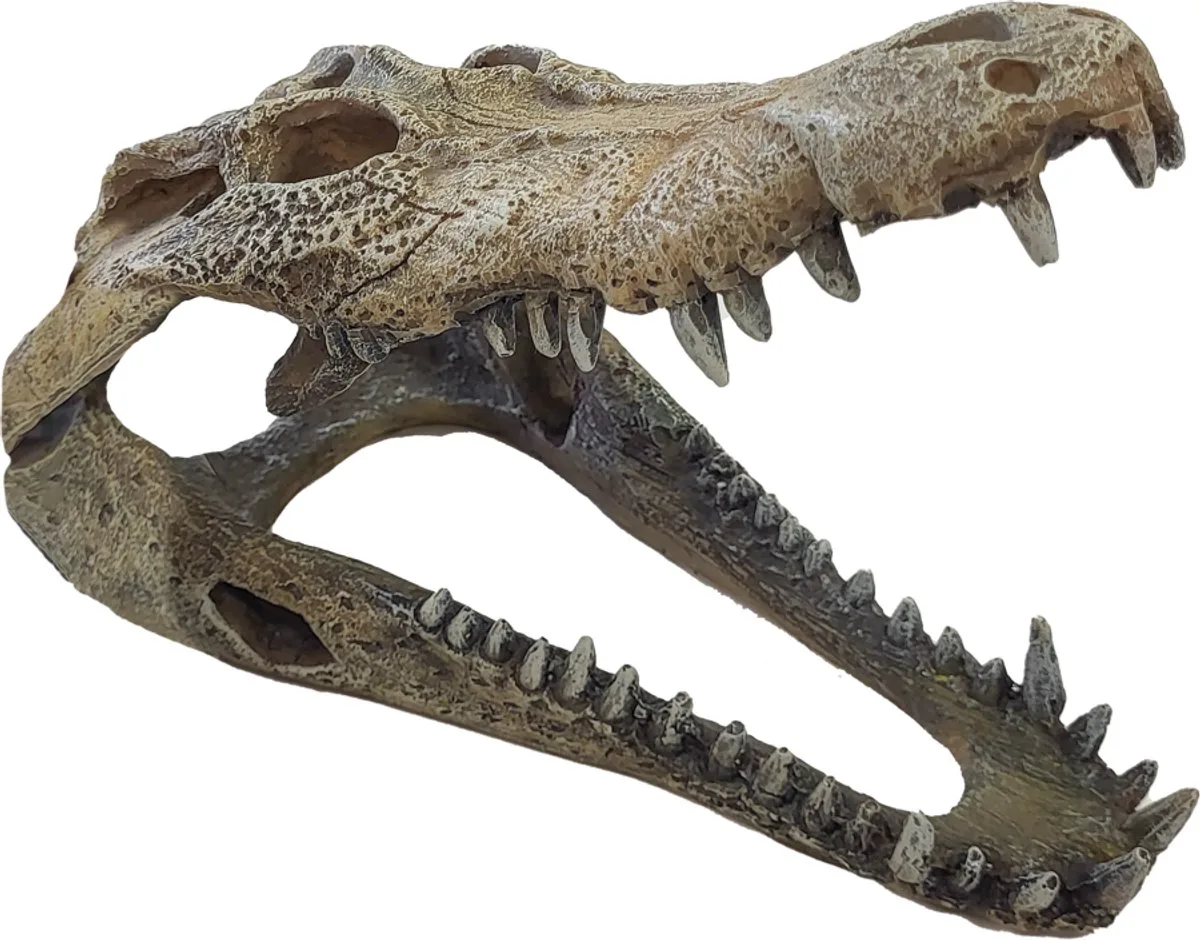 Deco crocodile xxl från Repto – produktbild