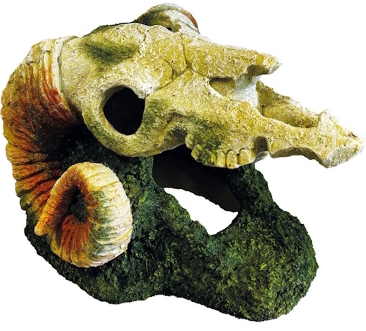 Deco Goat Skull terrariumornament 28 x 23 x 18 cm met schuilplaatsen von Repto in Beige – Produktfoto