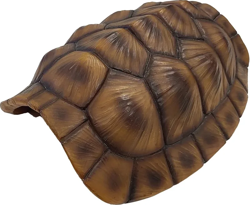 Deco Tortoise kunst schildpadschild schuilplaats voor terraria M | XL Maat: XL by Repto – product photo