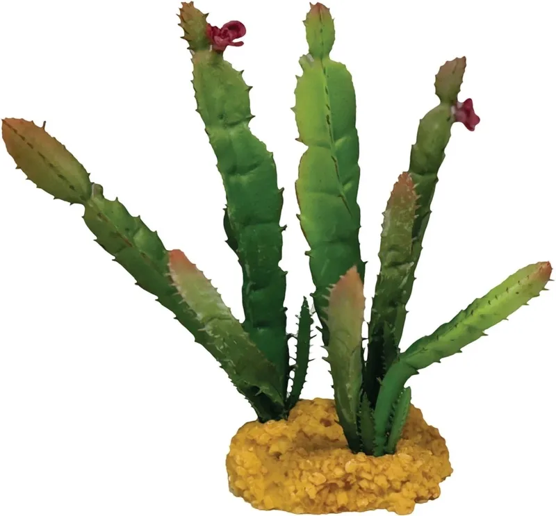 Kunstcactus Needle Red Tip terrariumplant 20 cm voor reptielen en amfibieën de Repto en Rouge – photo produit