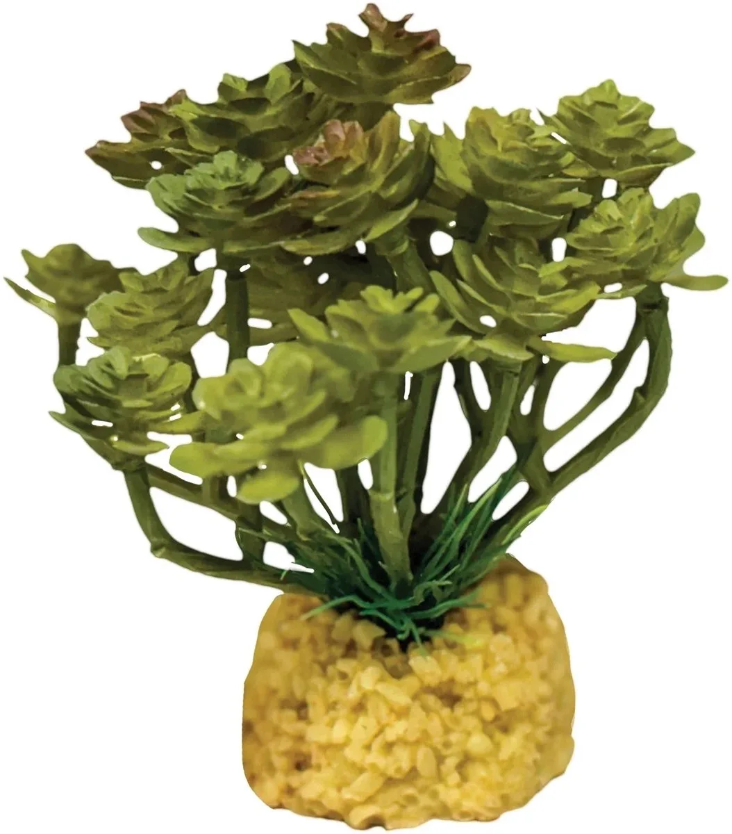 Kunstplant Cactus Tree voor reptielenterrarium 10cm von Repto in Grün – Produktfoto