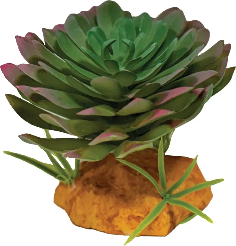 Kunstplant Echeveria voor terrarium 17 cm schuilplaats voor reptielen de Repto en Marron – photo produit