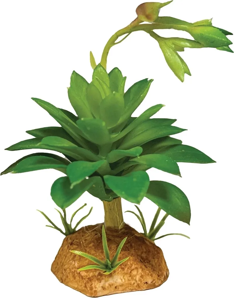 Kunstplant Succulent Green 14x10x7 cm onderhoudsvrije terrarium schuilplaats by Repto in Green – product photo