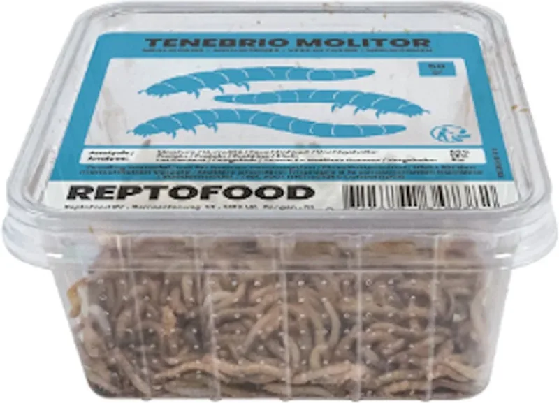 Levende Meelwormen 1000 gram by Repto – product photo