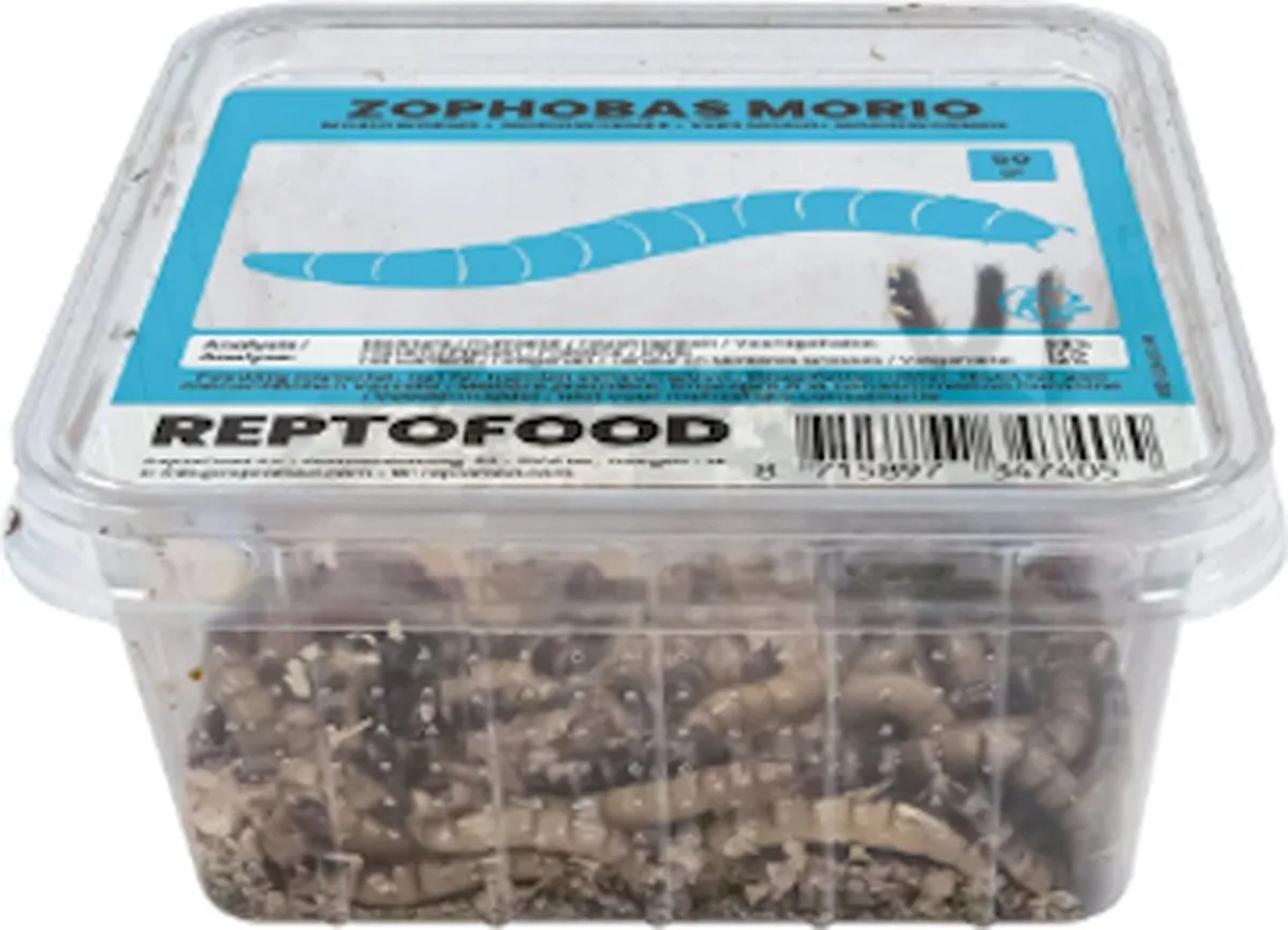 Levende Moriowormen 1000 gram de Repto – photo produit