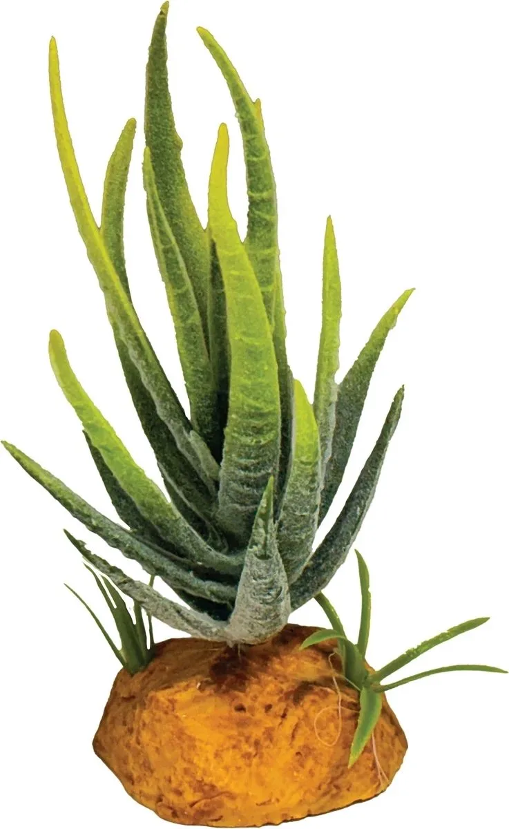 Plant Aloe Green kunstplant terrarium reptielen en amfibieën 6x6x12 cm de Repto en Vert – photo produit