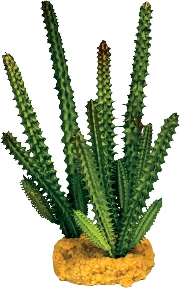 Plant Cactus Needle Green - Kunstplant Terrarium by Repto in Green – product photo